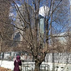 Meet your Posher, Deb